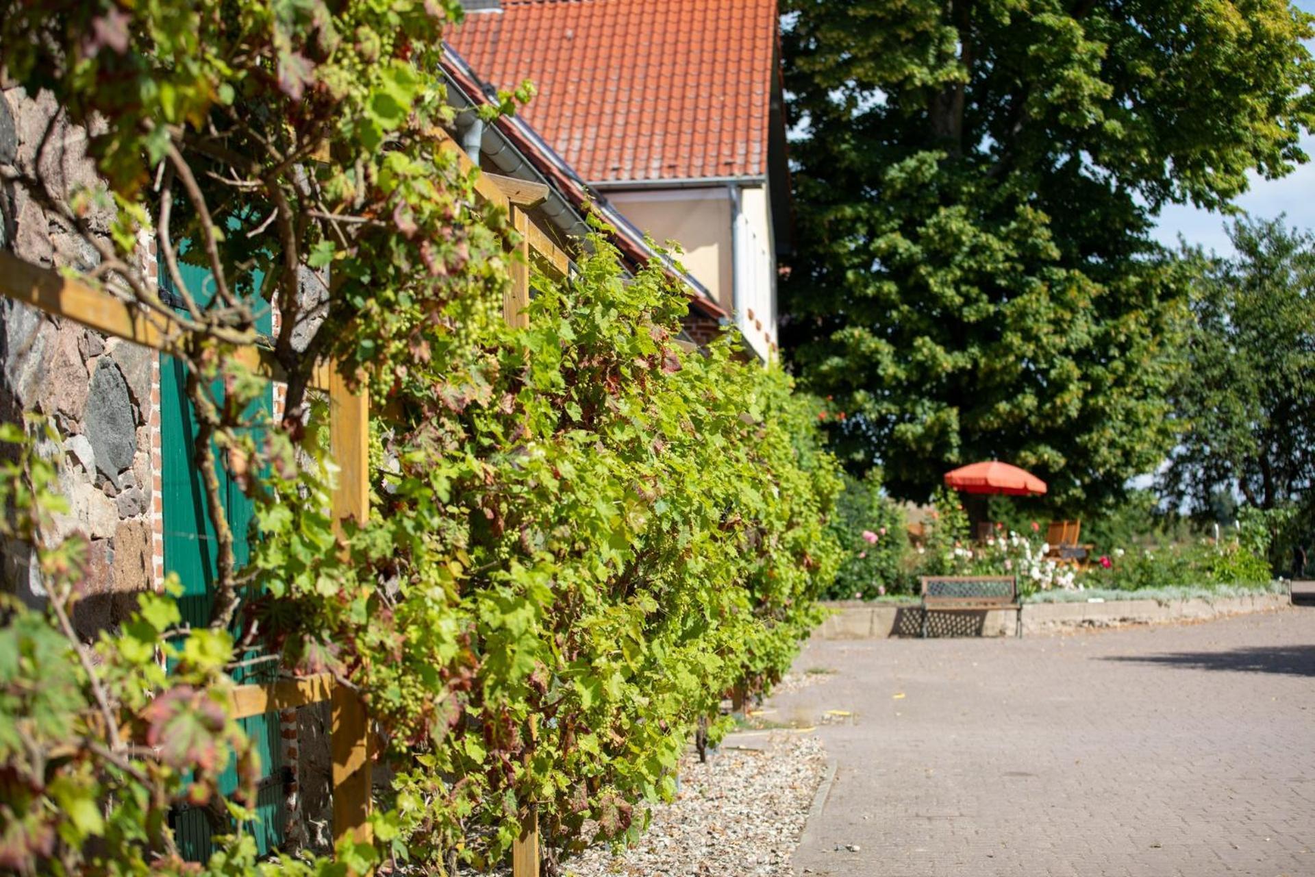 Landurlaub Auf Dem Mellenhof Apartment Funkenhagen Exterior photo
